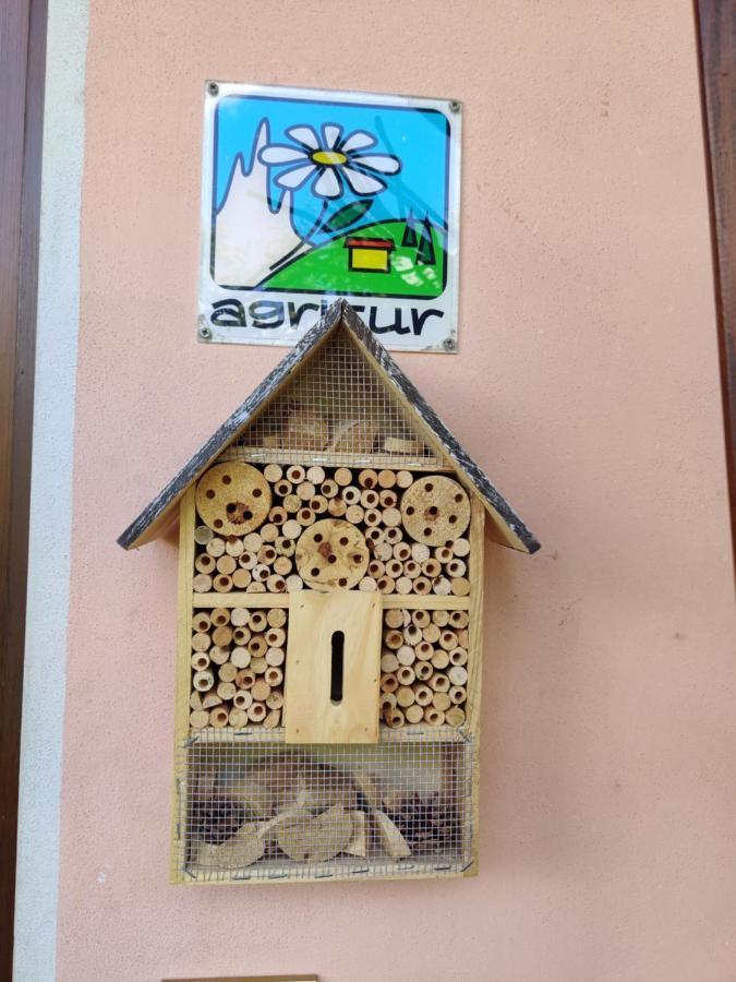 Agritur Leita Villa Tuenno Exteriör bild
